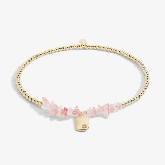 Anklet Pink Crystal Gold Plated Anklet 23cm Stretch Anklet 6948