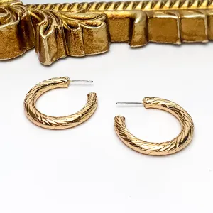 Gold Tone Small Twisted Hoop Earrings