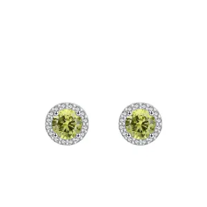 Luxurious S925 Sterling Silver Sparkling Earrings for Women with Zircon Gems