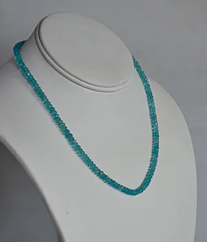 Savor the Flavor Apatite Necklace